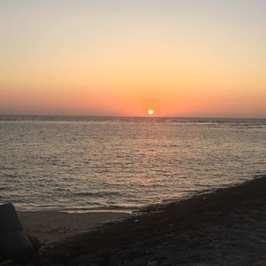 Meet your Posher, Trina